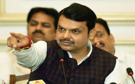 Fadnavis Says Gamble Is Necessary In Politics