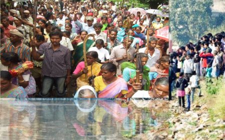 The Fisherman’s World Is Ravaged By Reeds