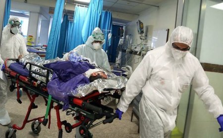 Global Death Toll from Pandemic Reaches Grim Milestone of 1.70 Lakh