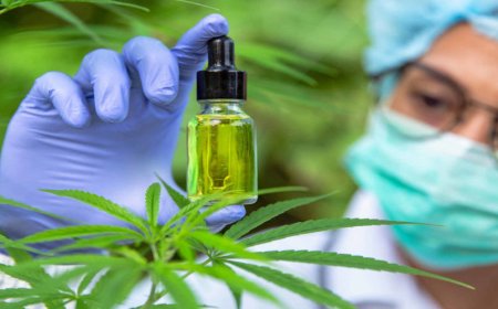 ଗିଲୟ ଓ ଗଞ୍ଜେଇ ବନାମ୍ ବାବା ରାମଦେବ