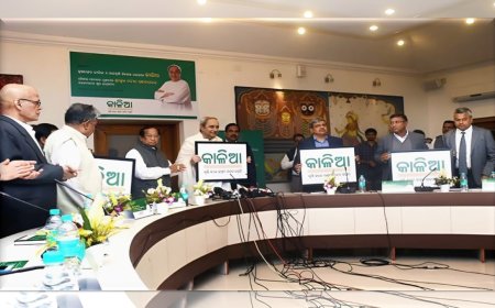 କାଳିଆ ସ୍କାମ : ଜେଲ୍ ଯାଇପାରନ୍ତି ସରକାରୀ କର୍ମଚାରୀ!