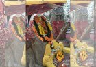 ରାଜ୍ୟସ୍ତରୀୟ ଶିଶୁ ଅନନ୍ତ ଜୟନ୍ତୀ ଉତ୍ସବ