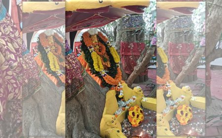 ରାଜ୍ୟସ୍ତରୀୟ ଶିଶୁ ଅନନ୍ତ ଜୟନ୍ତୀ ଉତ୍ସବ