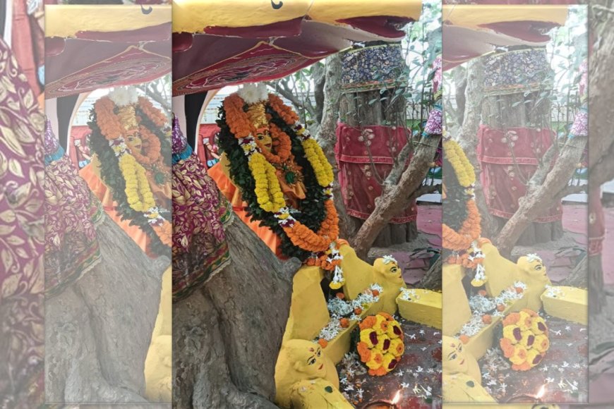 ରାଜ୍ୟସ୍ତରୀୟ ଶିଶୁ ଅନନ୍ତ ଜୟନ୍ତୀ ଉତ୍ସବ