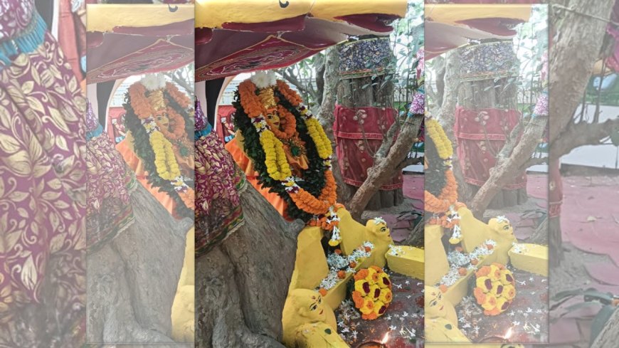 ରାଜ୍ୟସ୍ତରୀୟ ଶିଶୁ ଅନନ୍ତ ଜୟନ୍ତୀ ଉତ୍ସବ