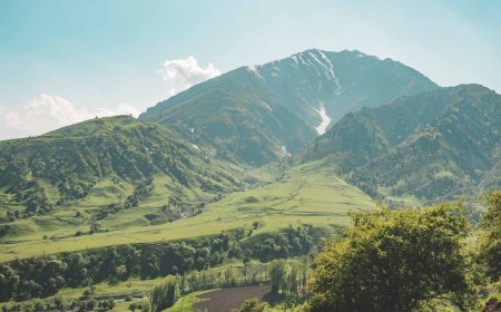 Did you know this country holds the world’s largest natural walnut forest?