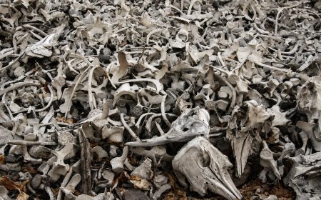 Did you know about the place where men brought their own graves?