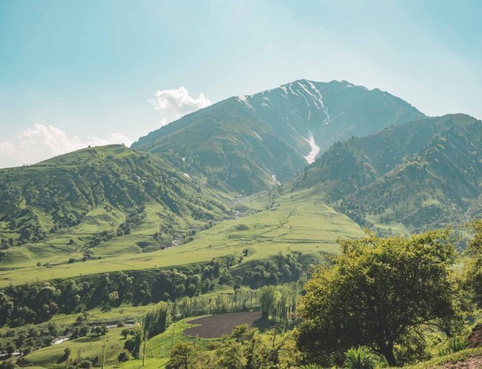 Did you know this country holds the world’s largest natural walnut forest?