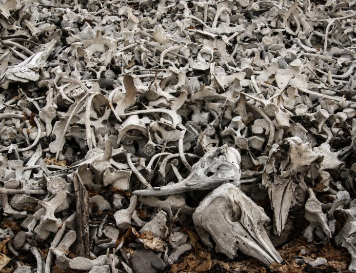 Did you know about the place where men brought their own graves?
