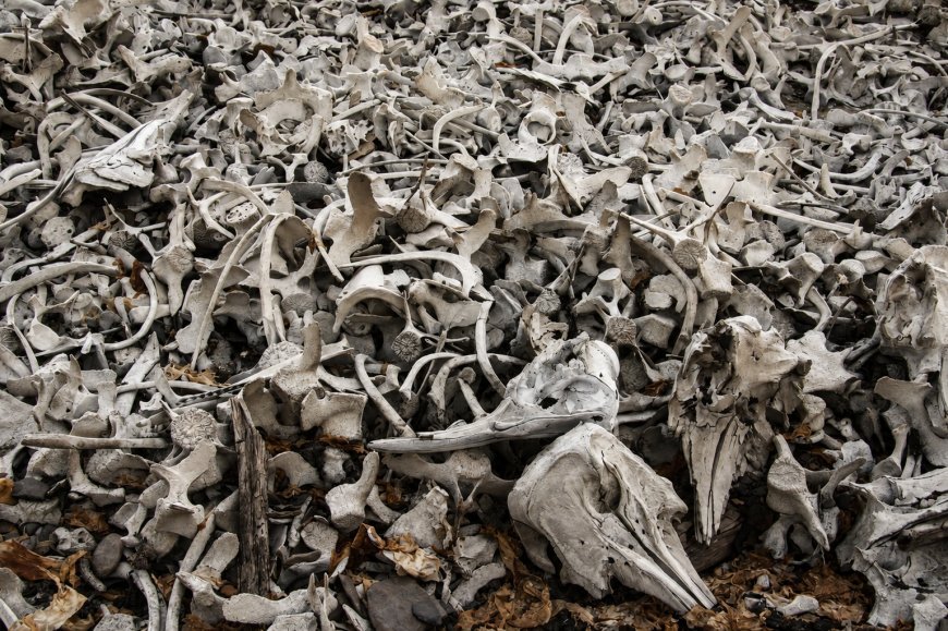 Did you know about the place where men brought their own graves?