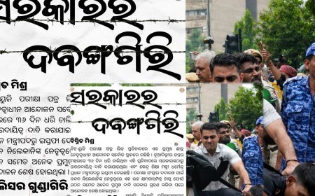 ସରକାରର ଦବଙ୍ଗଗିରି